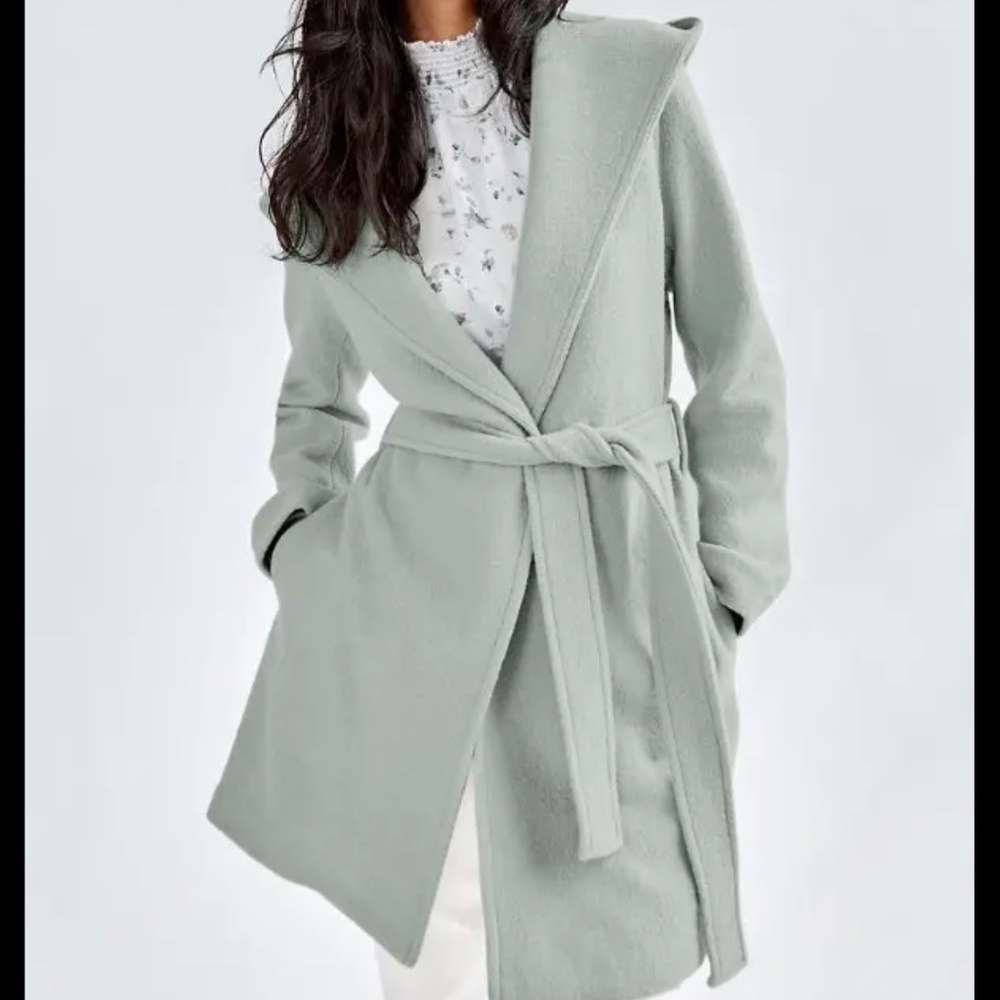 Aritzia Acre Robe Coat